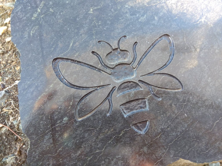 Včelí svět v Hulicích