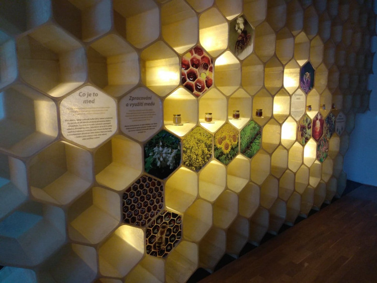 Včelí svět v Hulicích