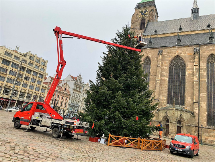 FOTOGALERIE: Zdobení vánočního stromu