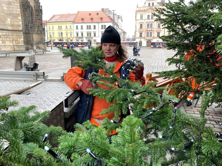 FOTOGALERIE: Zdobení vánočního stromu