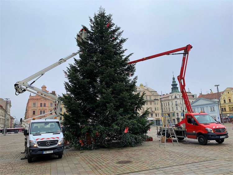 FOTOGALERIE: Zdobení vánočního stromu