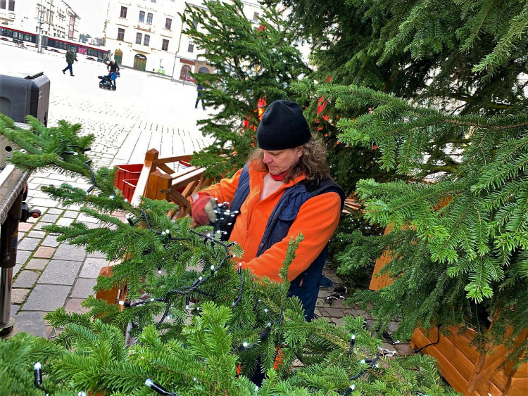 FOTOGALERIE: Zdobení vánočního stromu