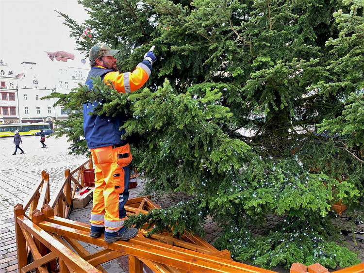 FOTOGALERIE: Zdobení vánočního stromu