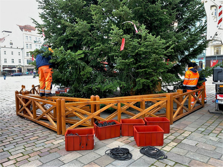 FOTOGALERIE: Zdobení vánočního stromu