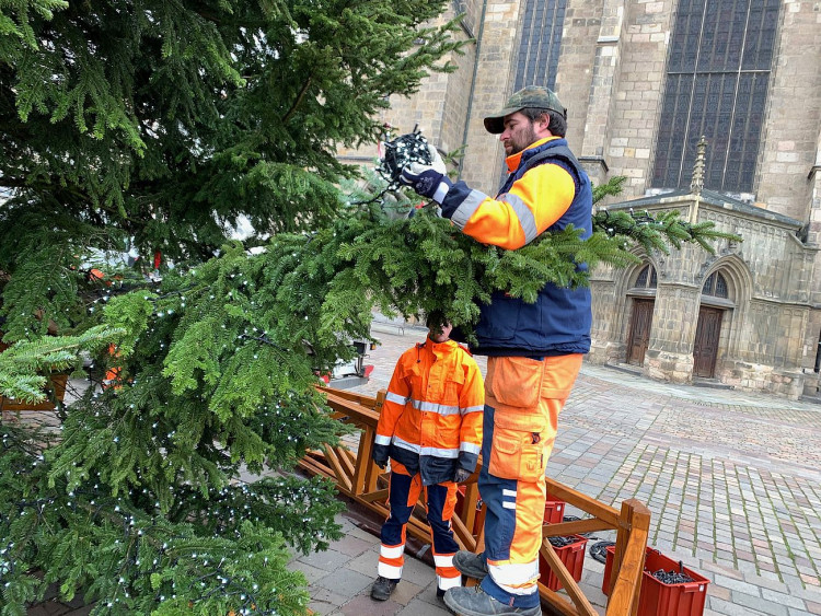 FOTOGALERIE: Zdobení vánočního stromu