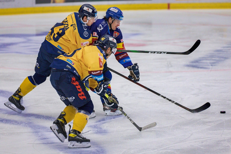 FOTOGALERIE: Madeta Motor ČB - PSG Berani Zlín