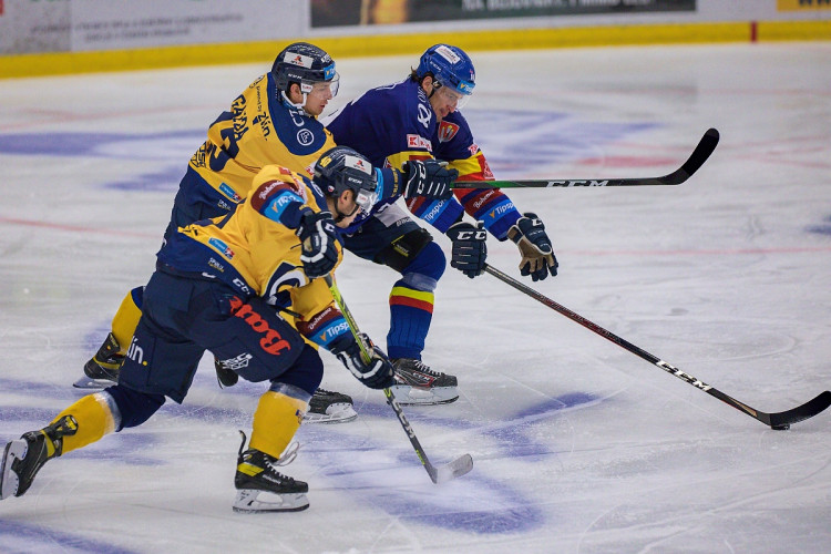 FOTOGALERIE: Madeta Motor ČB - PSG Berani Zlín