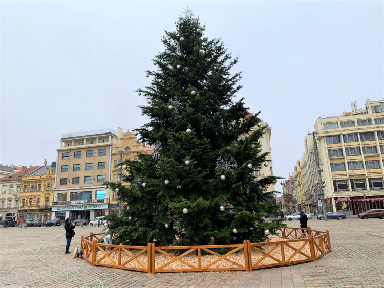 FOTOGALERIE: Vánoční strom