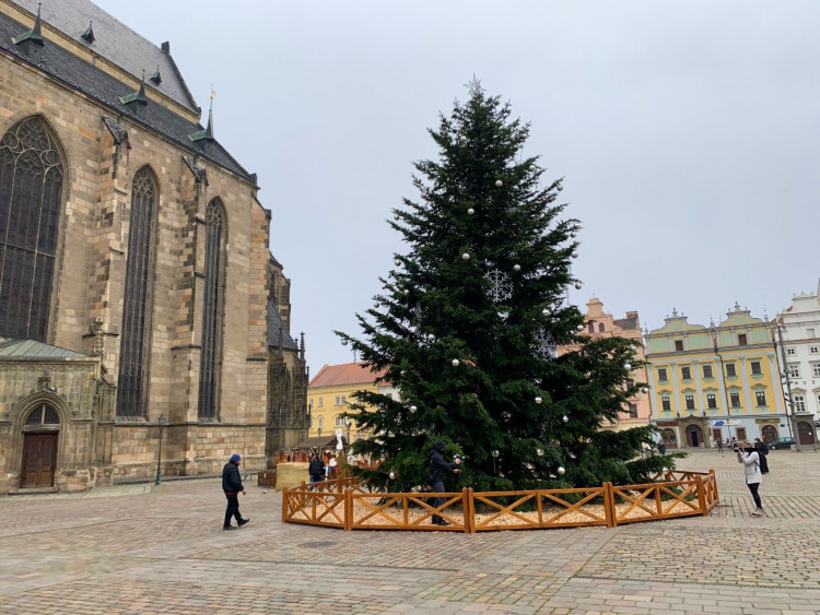 FOTOGALERIE: Vánoční strom