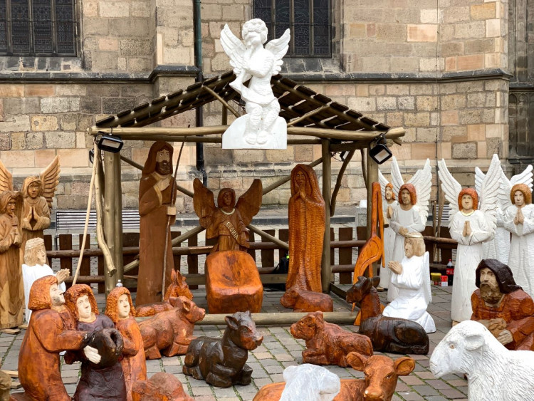 FOTOGALERIE: Vánoční strom