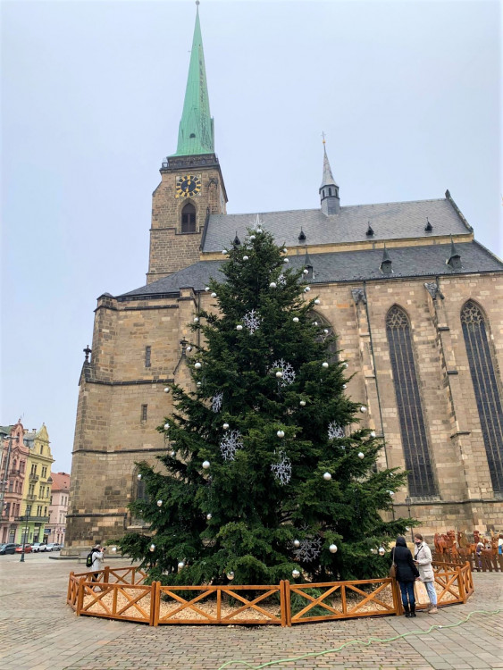 FOTOGALERIE: Vánoční strom