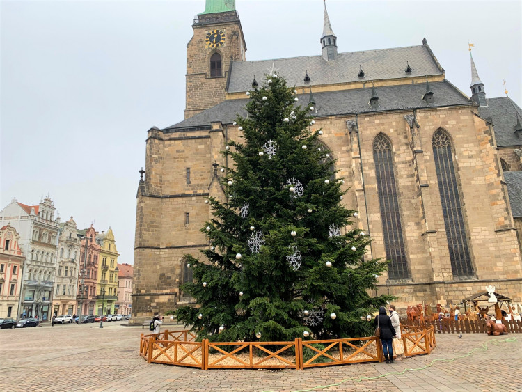 FOTOGALERIE: Vánoční strom