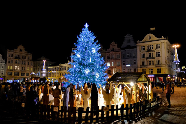 FOTOGALERIE: Vánoční strom a vánoční tramvaj