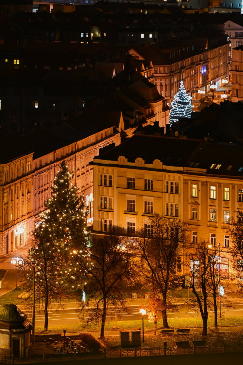 GALERIE: Vánočně osvícený Hradec Králové