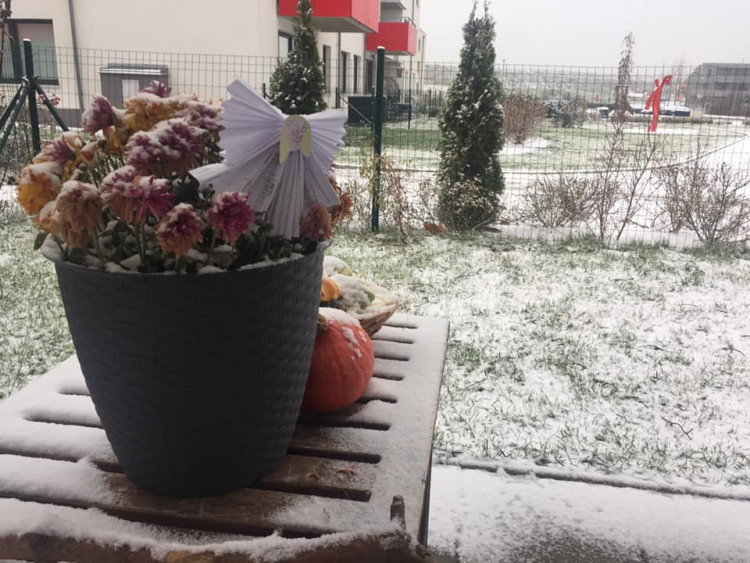 FOTOGALERIE: První sněhová nadílka letošní zimy v Praze očima čtenářů