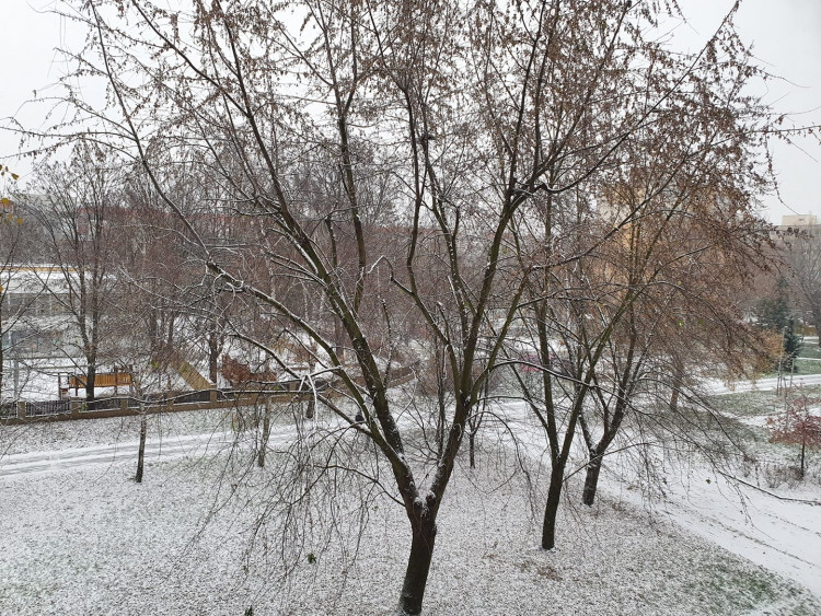 FOTOGALERIE: První sněhová nadílka letošní zimy v Praze očima čtenářů