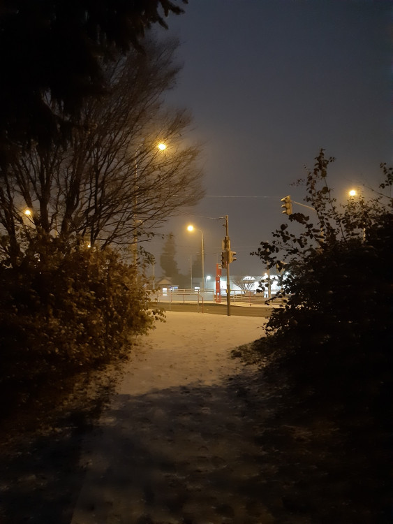 FOTOGALERIE: První sněhová nadílka letošní zimy v Praze očima čtenářů