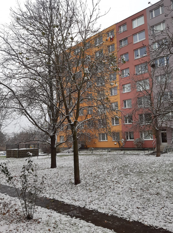 FOTOGALERIE: První sněhová nadílka letošní zimy v Praze očima čtenářů