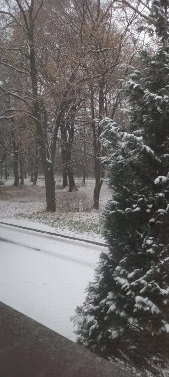 FOTOGALERIE: První sněhová nadílka letošní zimy v Praze očima čtenářů