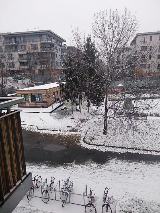 FOTOGALERIE: První sněhová nadílka letošní zimy v Praze očima čtenářů