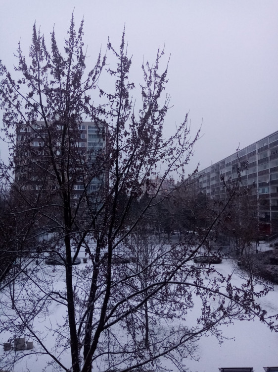 FOTOGALERIE: První sněhová nadílka letošní zimy v Praze očima čtenářů