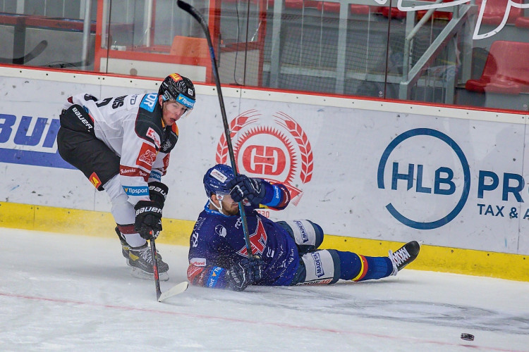 FOTOGALERIE: Porážka číslo devět. Motor doma ještě nevyhrál, Sparta na jihu Čech zvítězila 5:1