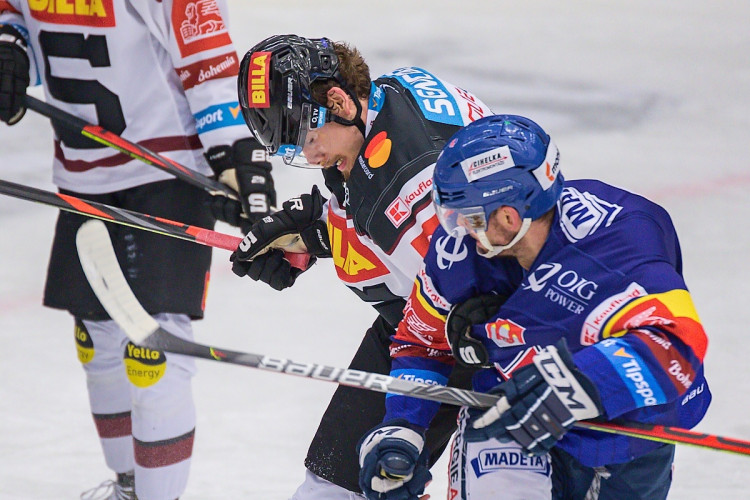 FOTOGALERIE: Porážka číslo devět. Motor doma ještě nevyhrál, Sparta na jihu Čech zvítězila 5:1