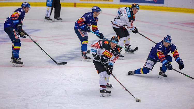 FOTOGALERIE: Porážka číslo devět. Motor doma ještě nevyhrál, Sparta na jihu Čech zvítězila 5:1