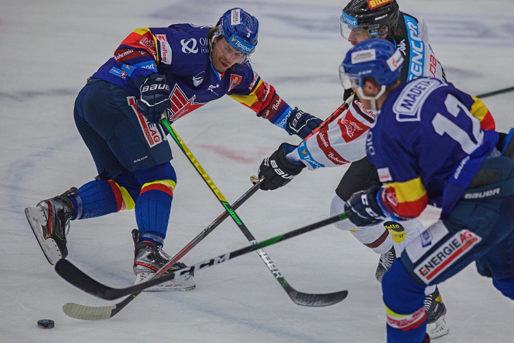 FOTOGALERIE: Porážka číslo devět. Motor doma ještě nevyhrál, Sparta na jihu Čech zvítězila 5:1