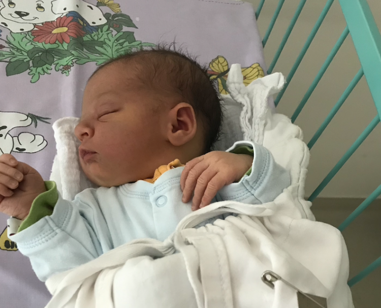 DAŇKOVÁ, Josefína