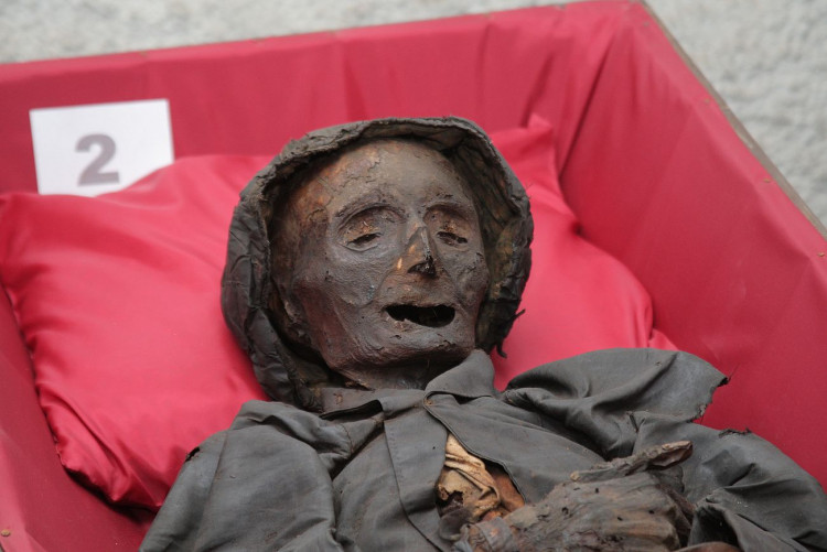 FOTOGALERIE: Klatovské katakomby, stěhování mumií 2011