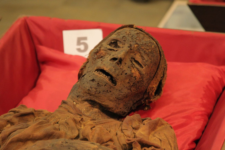 FOTOGALERIE: Klatovské katakomby, stěhování mumií 2011