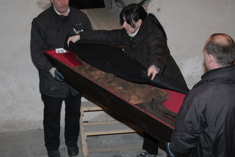 FOTOGALERIE: Klatovské katakomby, stěhování mumií 2011