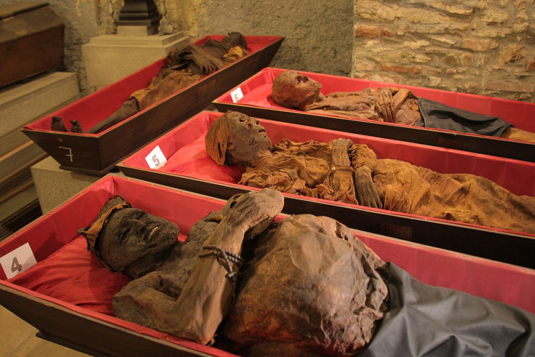 FOTOGALERIE: Klatovské katakomby, stěhování mumií 2011