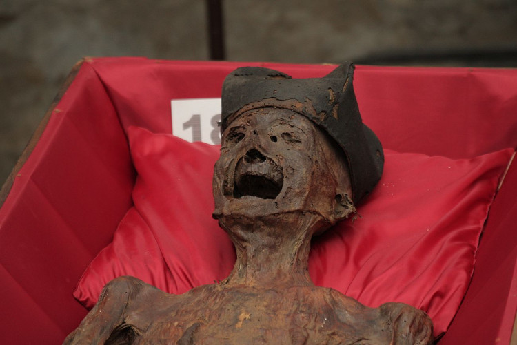 FOTOGALERIE: Klatovské katakomby, stěhování mumií 2011