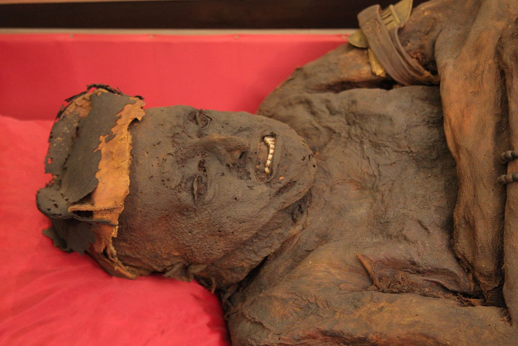 FOTOGALERIE: Klatovské katakomby, stěhování mumií 2011