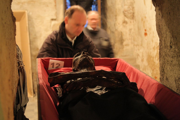 FOTOGALERIE: Klatovské katakomby, stěhování mumií 2011