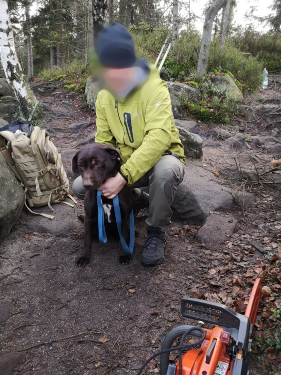 Šťastný konec měla v listopadový sváteční den záchrana psa, který spadl v lokalitě Ostaš do skalní rozsedliny. Situace nevypadala pro čtyřnohého horolezce nijak růžově, ale naši hasiči se jen tak nevzdávají. Lezci se ke zvířeti slanili cca 10 m pod úroveň