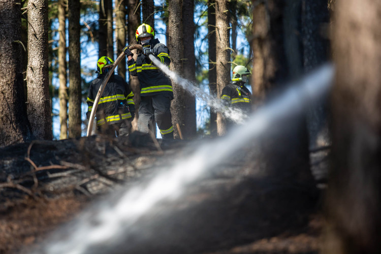 Sezóna lesních požárů nebyla letos v takové míře, jako v předchozích, suchem poznamenaných letech. I přesto si takové zásahy vždy vyžadují nasazení většího počtu jednotek a kvůli lesnímu terénu nebývají jednoduché. Foto: Požár lesního porostu, Dobrošov, d