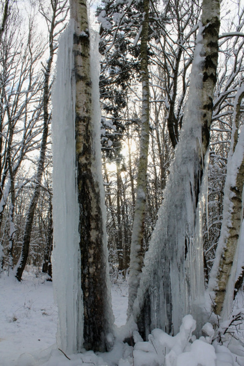 Lovětínský ledopád