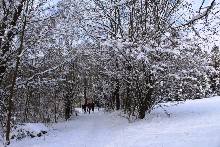 Lovětínský ledopád