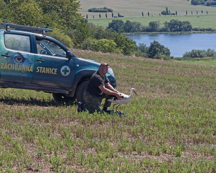 FOTOGALERIE: Čáp Kryštof cestuje do Afriky