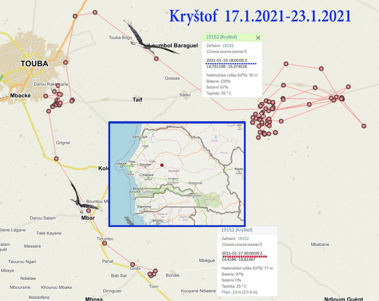 FOTOGALERIE: Čáp Kryštof cestuje do Afriky