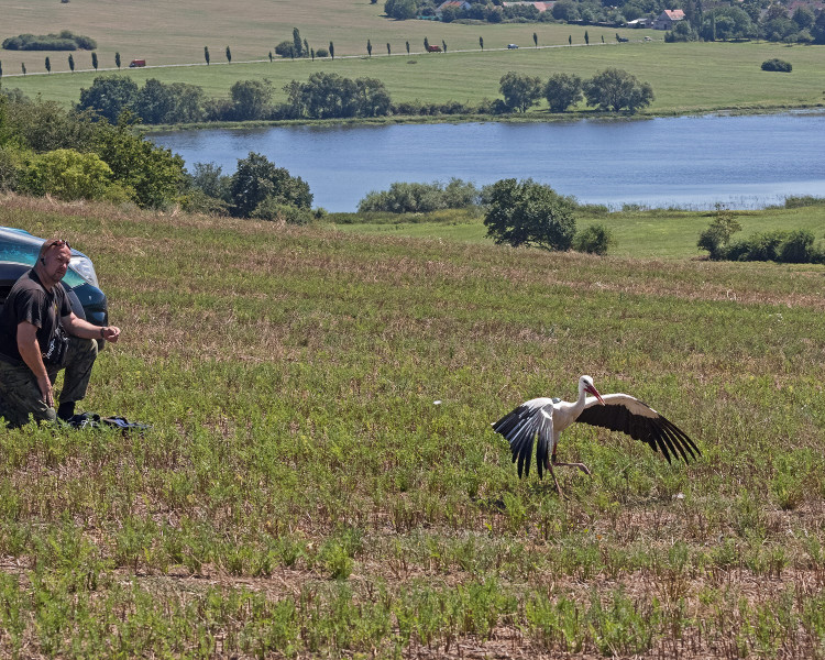 FOTOGALERIE: Čáp Kryštof cestuje do Afriky