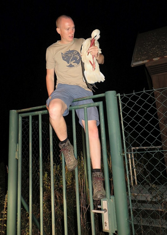 FOTOGALERIE: Čáp Kryštof cestuje do Afriky