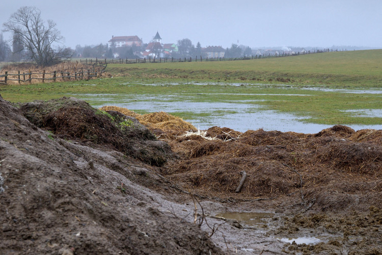 FOTOGALERIE: Otrava orlů mořských