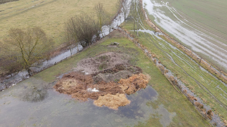 FOTOGALERIE: Otrava orlů mořských