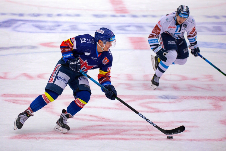 FOTOGALERIE: Madeta Motor ČB - Bílí Tygři Liberec