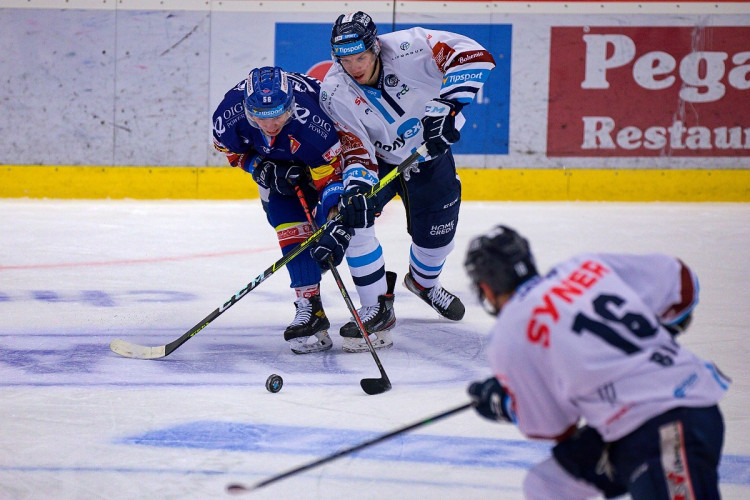 FOTOGALERIE: Výsledková krize pokračuje. Motor doma nestačil ani na Liberec, Bílí Tygři vyhráli 5:2