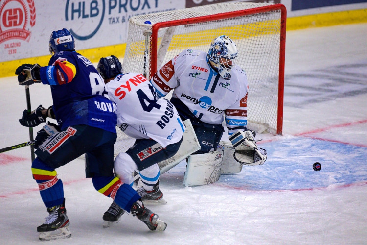 FOTOGALERIE: Výsledková krize pokračuje. Motor doma nestačil ani na Liberec, Bílí Tygři vyhráli 5:2